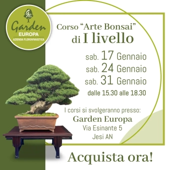 CORSO DI PRIMO LIVELLO DI ARTE BONSAI – Gennaio 2026
