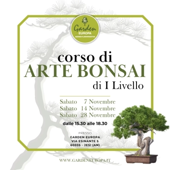 CORSO DI PRIMO LIVELLO DI ARTE BONSAI – Novembre 2026