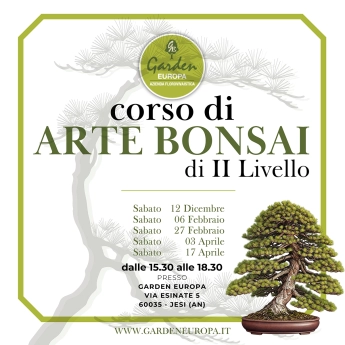 CORSO DI SECONDO LIVELLO DI ARTE BONSAI 2026/2027