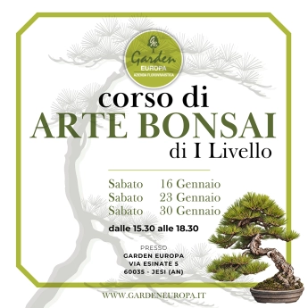 CORSO DI PRIMO LIVELLO DI ARTE BONSAI – Gennaio 2027